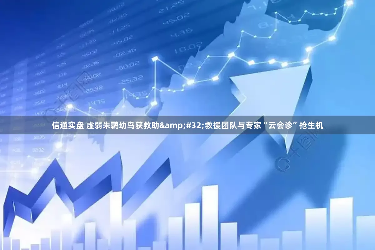 信通实盘 虚弱朱鹮幼鸟获救助 救援团队与专家“云会诊”抢生机