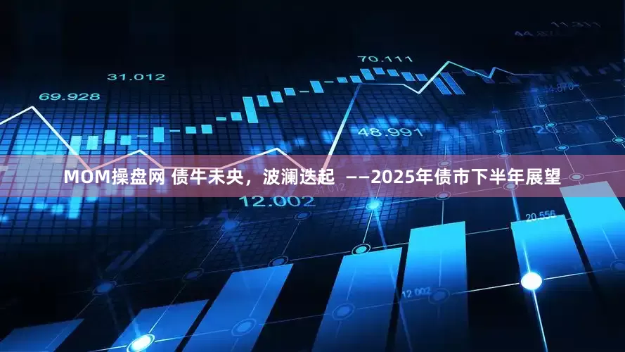 MOM操盘网 债牛未央，波澜迭起  ——2025年债市下半年展望