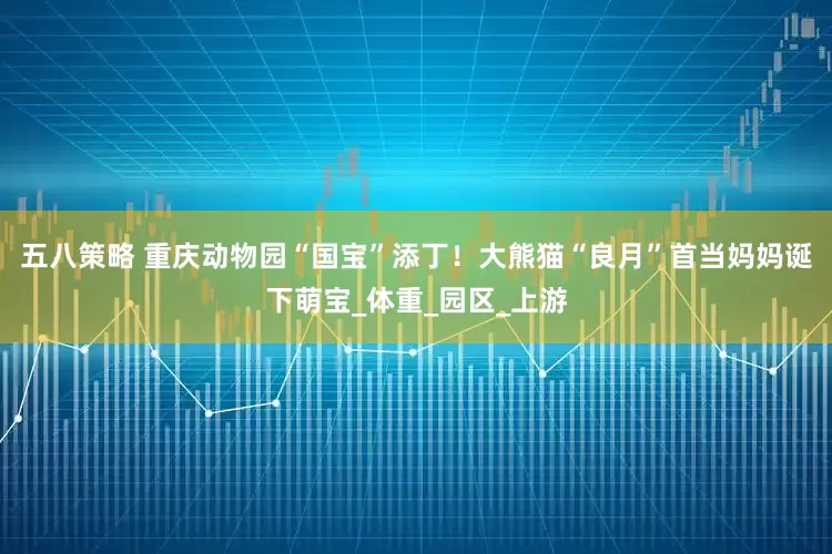 五八策略 重庆动物园“国宝”添丁！大熊猫“良月”首当妈妈诞下萌宝_体重_园区_上游