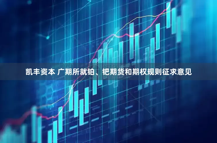 凯丰资本 广期所就铂、钯期货和期权规则征求意见