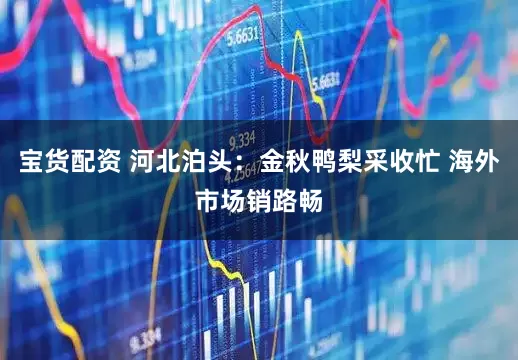 宝货配资 河北泊头：金秋鸭梨采收忙 海外市场销路畅