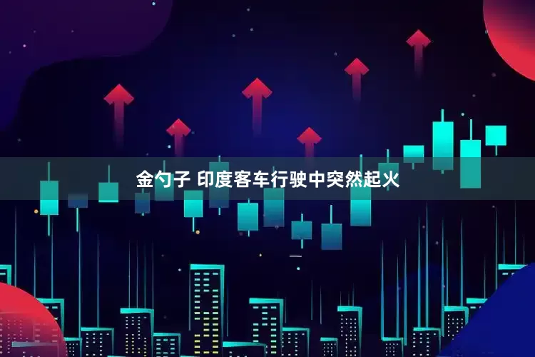 金勺子 印度客车行驶中突然起火