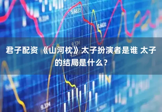 君子配资 《山河枕》太子扮演者是谁 太子的结局是什么？