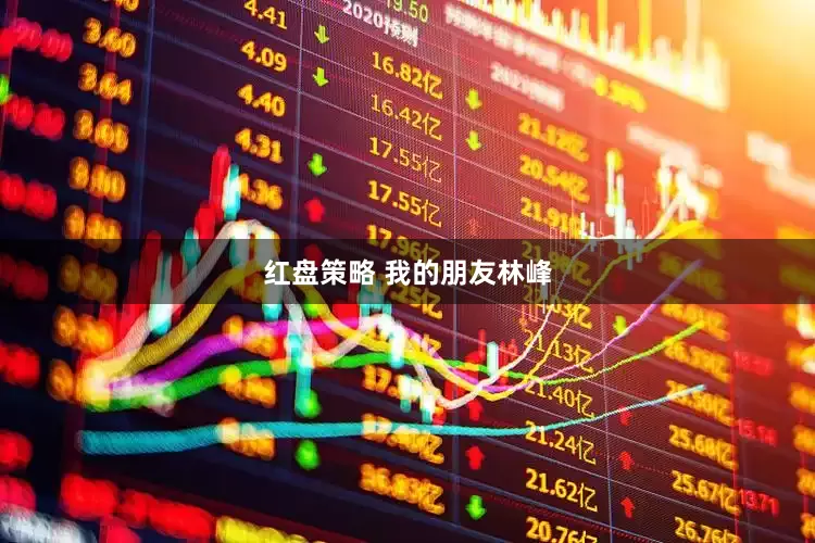 红盘策略 我的朋友林峰