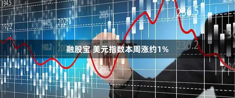 融股宝 美元指数本周涨约1%